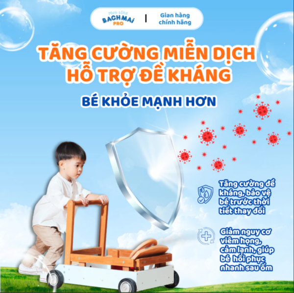 Men Sống Bạch Mai Pro - Hình ảnh 5